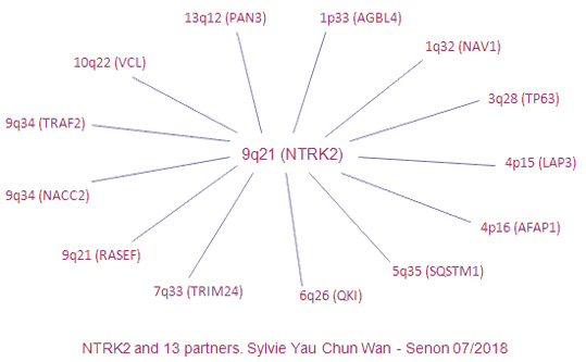 NTRK2 partners